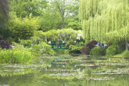Monet's Japanese Water Garden 