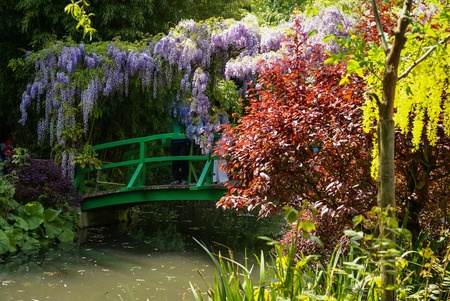 Japanese Bridge over Water Garden 